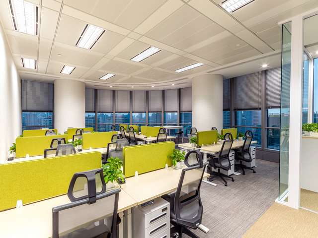 老鼠灭治哪家好