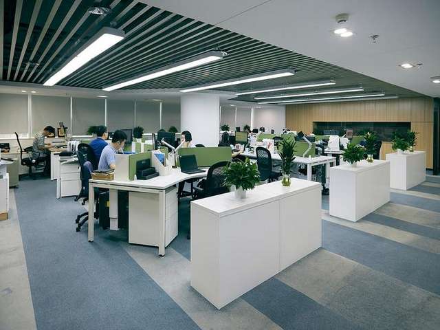 嘉兴东芝柔性振动盘