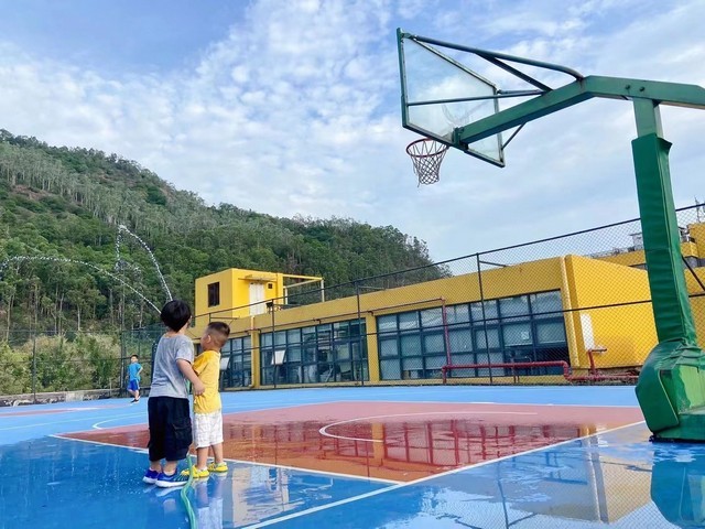 河北加拿大铁杉木哪里有